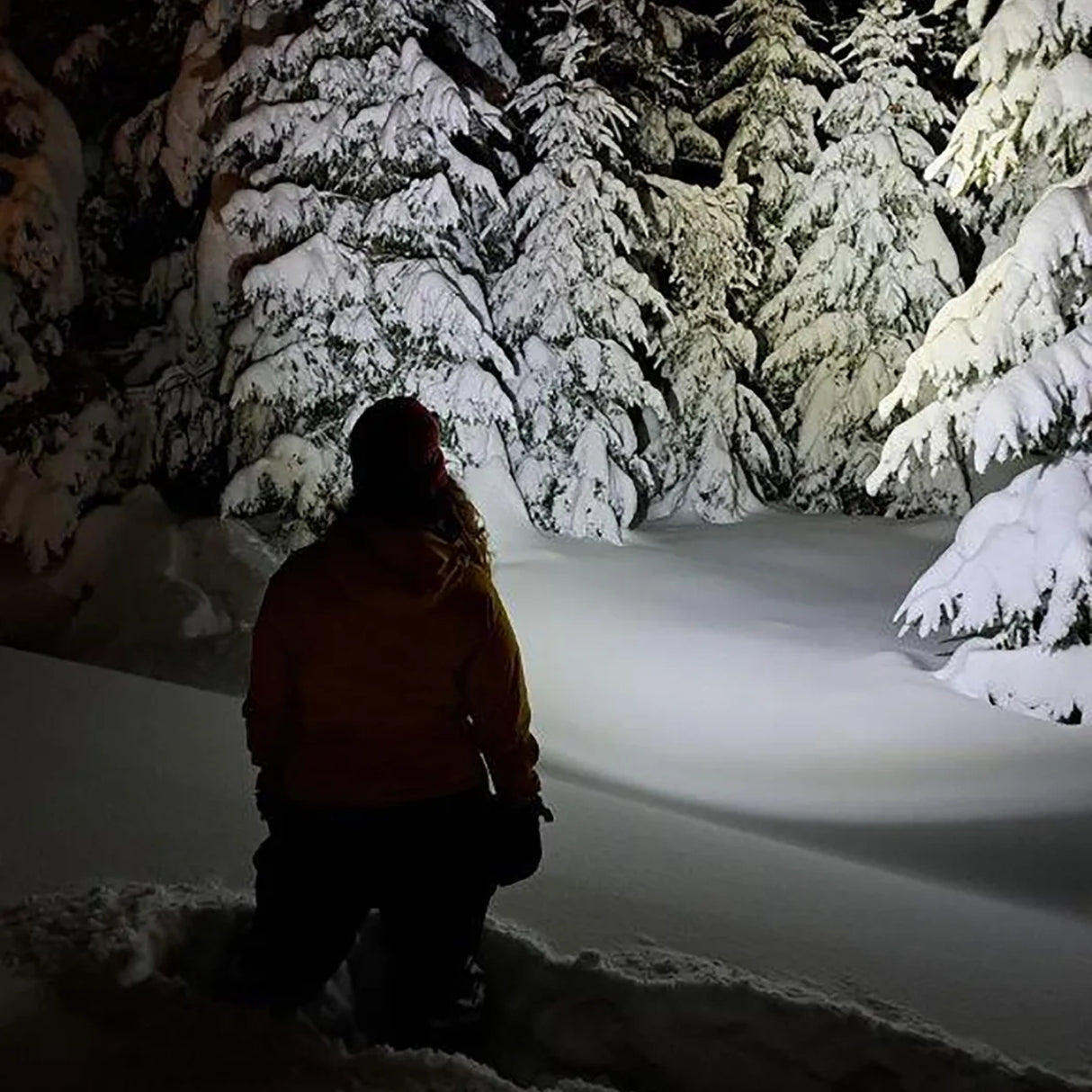 Denne hodelykten kan også brukes som lommelykt takket være den dreibare og avtakbare lampen.